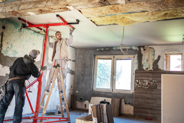 Professional Insulation Contractor in Gordo, AL