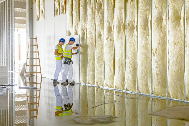 Best Insulation Contractors for Homes  in Gordo, AL